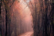 九游娱乐:记者:国安新帅塞蒂恩先于球队飞赴海口.