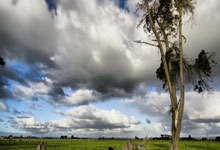 王曦雨张帅王雅繁无缘晋级 中国选手单打赛场全部出局.