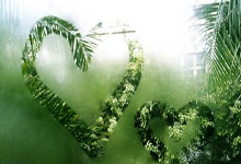 本赛季五大联赛30岁以上球员射手榜:萨拉赫、莱万、凯恩前三.