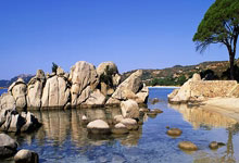 九游娱乐:篮球——NBA常规赛:掘金胜火箭.